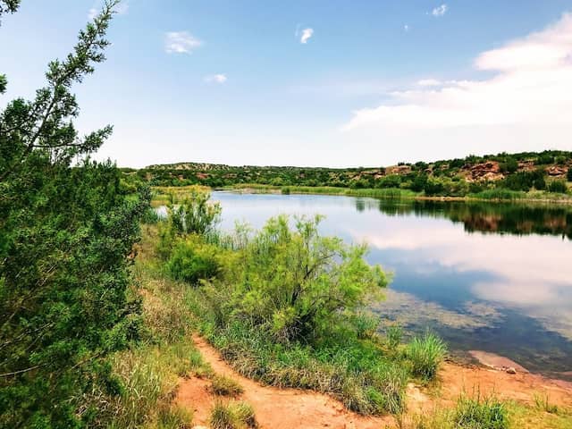 Big Pond Equestrian Campground - Image 1