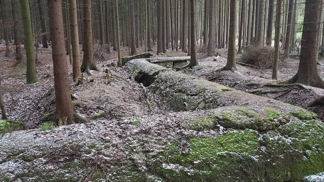Pěchotní bunkry - Image 1
