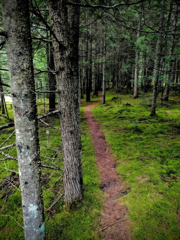 Lyndon State Forest Trailhead & Parking - Image 1