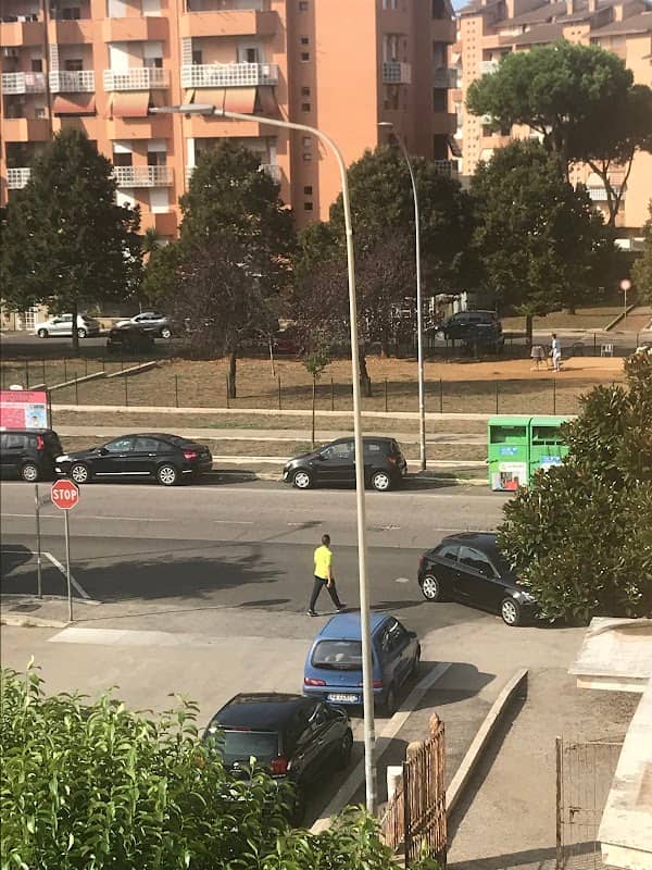 Parco Ricreativo Per Cani - Image 1