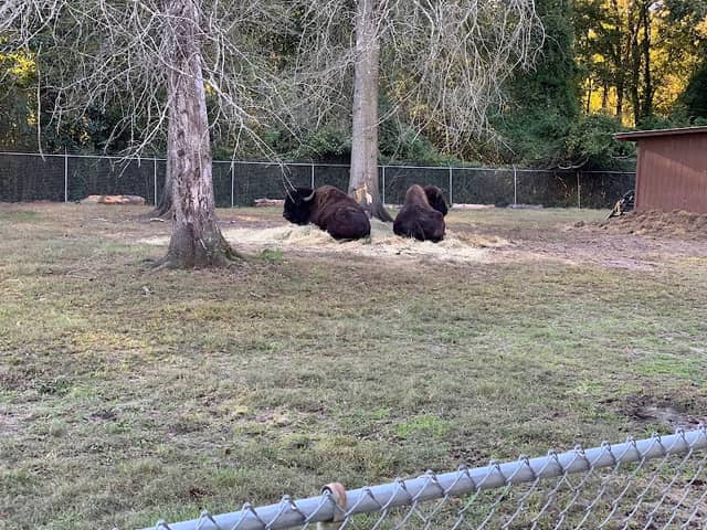 Livermon Park & Mini Zoo - Image 1