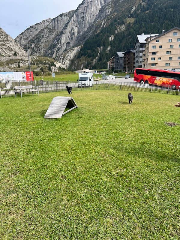 Hunde Park - Image 1