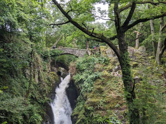 Aira High Force Waterfall - Image 3