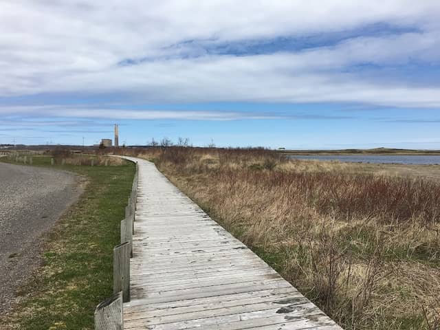 Dominion Beach Provincial Park - Image 1
