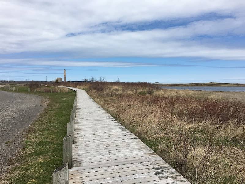Dominion Beach Provincial Park - Image 1