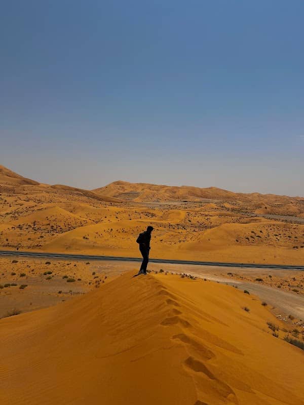 Desert view - Image 1