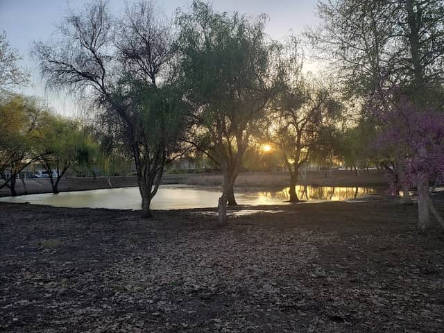 Seven Oaks Park - Image 1