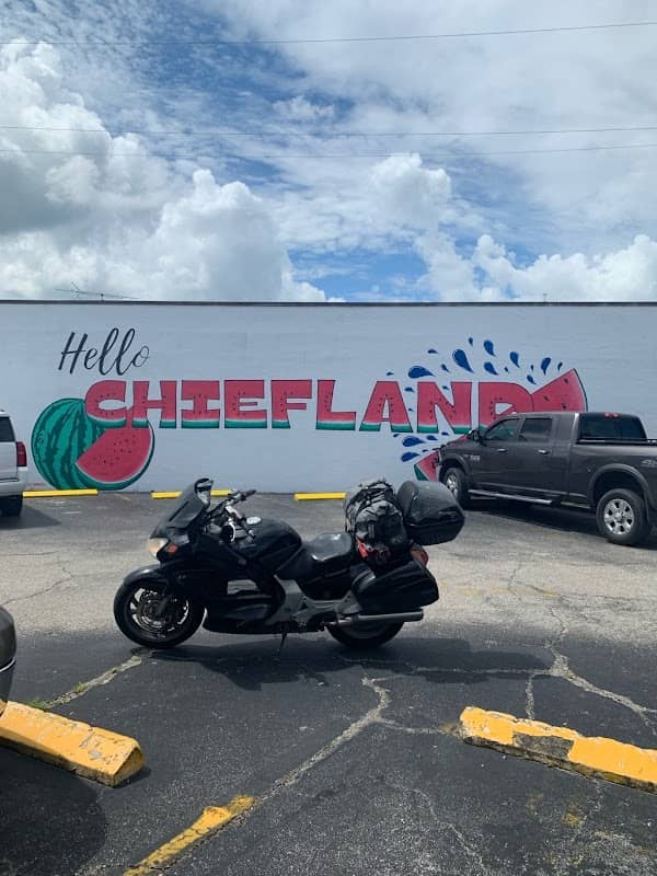 Hello Chiefland Mural - Image 2