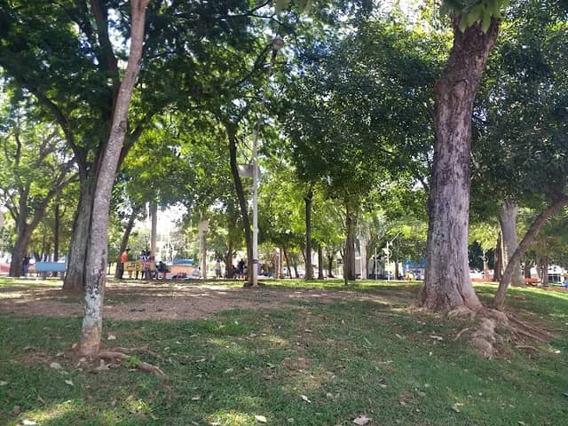 Praça Brasil - Image 1