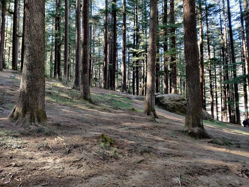Hadimba Himachal - Image 2