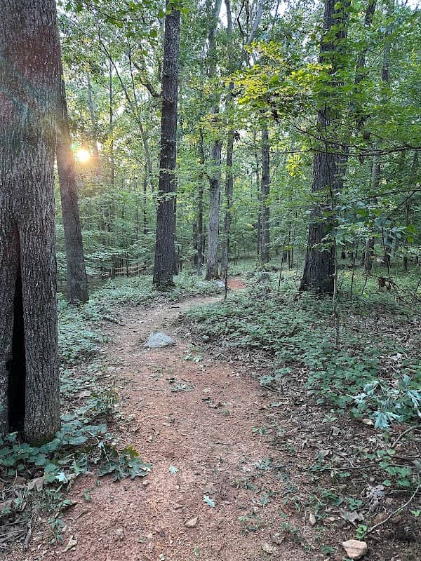 Aerotropolis Nature Park - Image 1
