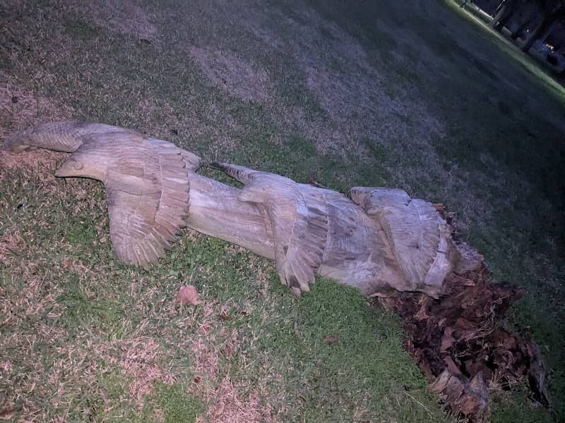 National Oak Park Tree Sculptures - Image 1