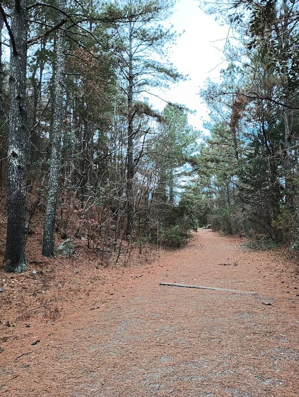 Kings Mountain Gateway Trail - Image 3
