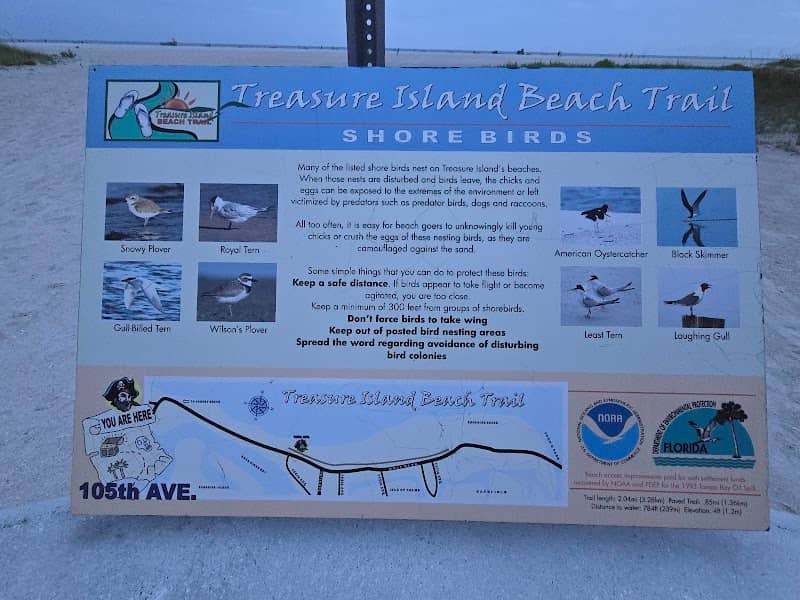 Treasure Island - Image 2