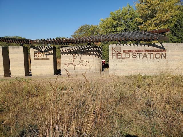 Suzanne Ecke McColl Nature Reserve - Image 1