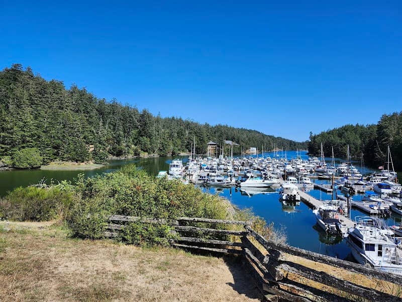 Boat launch - Image 2