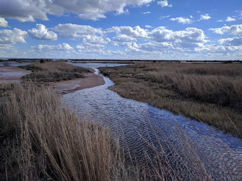 Salt Plains National Wildlife Refuge - Image 3