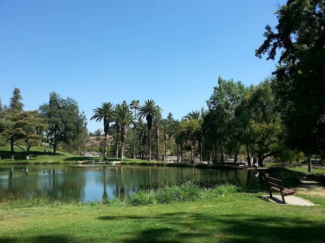 Ford Park - Image 1