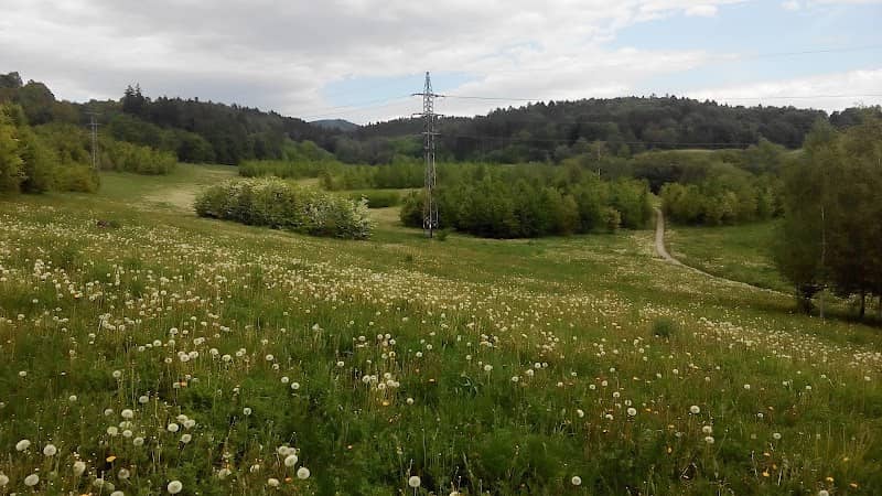 Park u Pekárny - Image 1