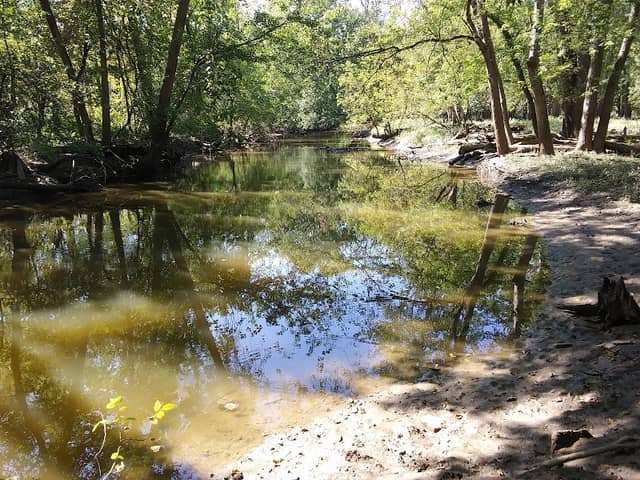 Blue Star Memorial Woods - Image 2