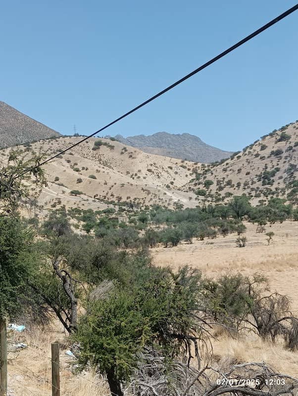 San Felipe chile - Image 1