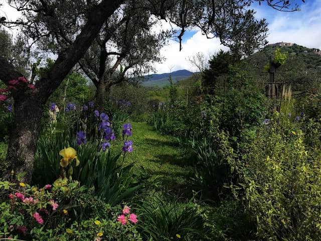 Giardino Colle Mola - Image 1