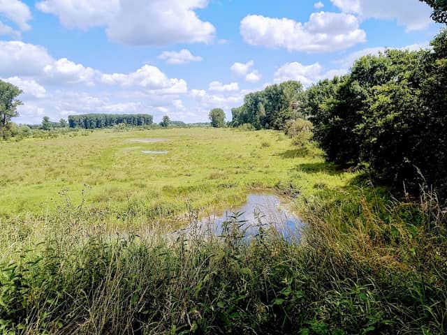 Hellinghauser Mersch Anglerweg - Image 1