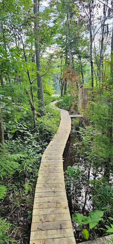 Cow Creek Platform - Image 2