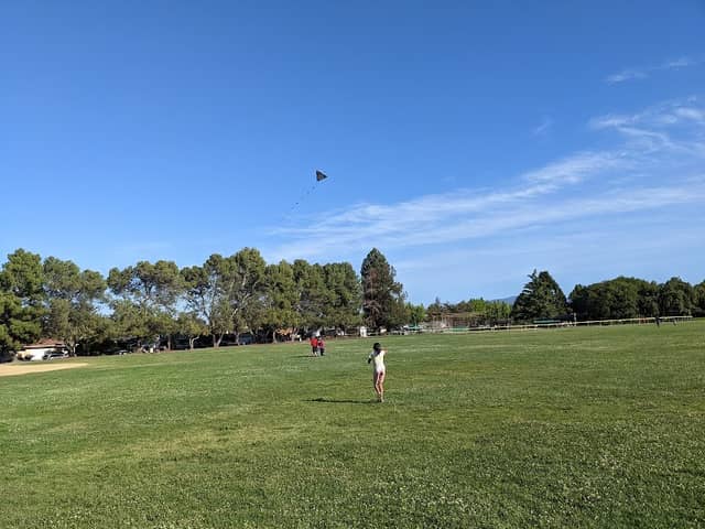 Raynor Park - Image 2
