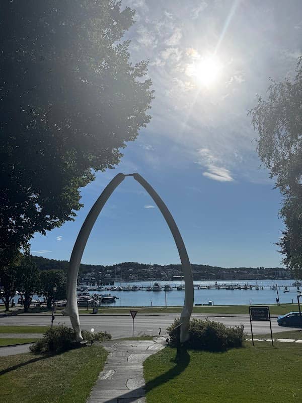 Whale bone arch - Image 1