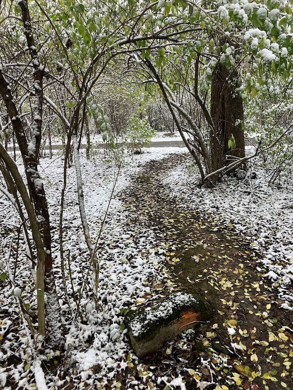 Derby Downs Trails - Image 1