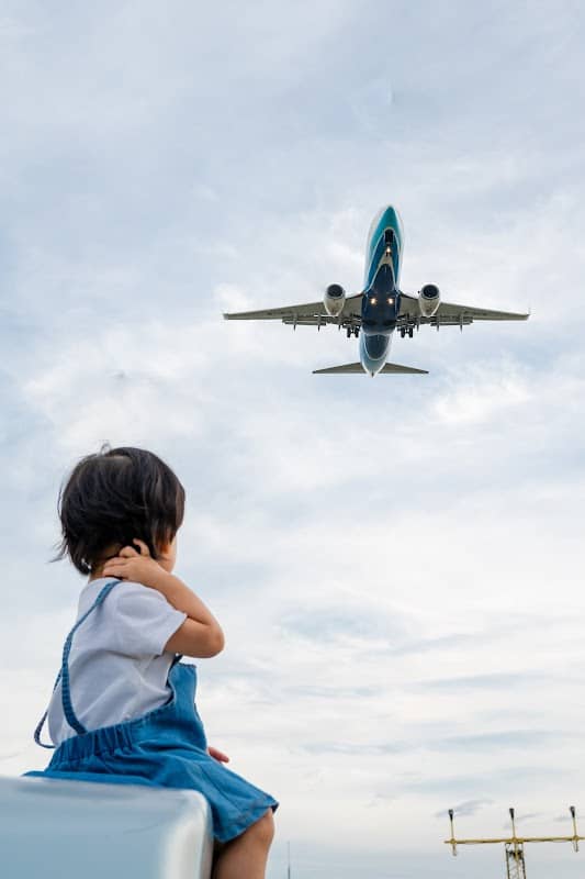 Flight Arrival Viewing Point - Image 1