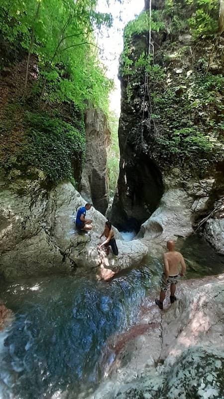 Vesin vir, Tribuća - Image 1