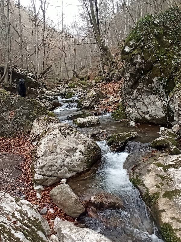 Vesin vir, Tribuća - Image 2