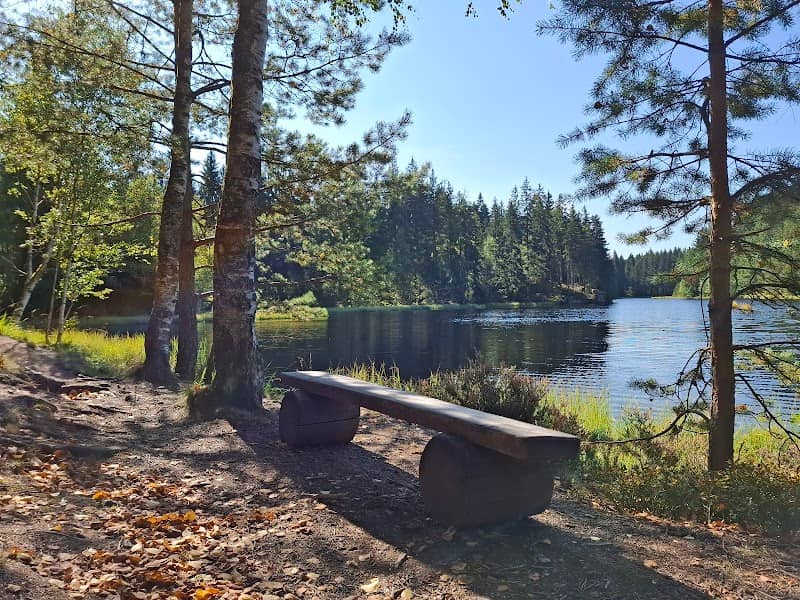 Holzbank Vogtlandsee - Image 1