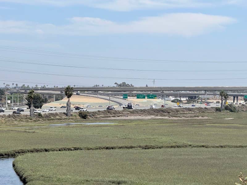 View Point - San Diego Bay National Wildlife Refuge - Image 2