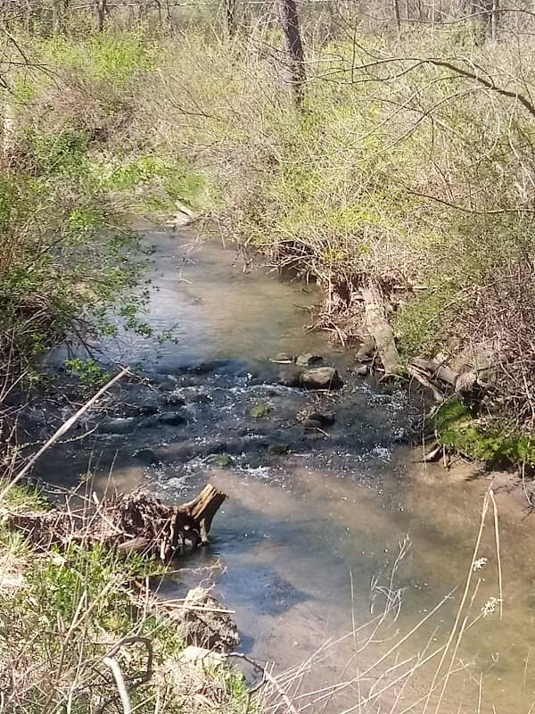 Mishawaka Res - Image 2