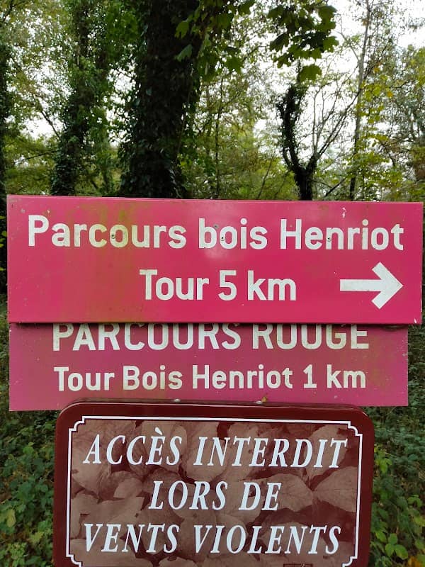 Henriot Woods - Image 2