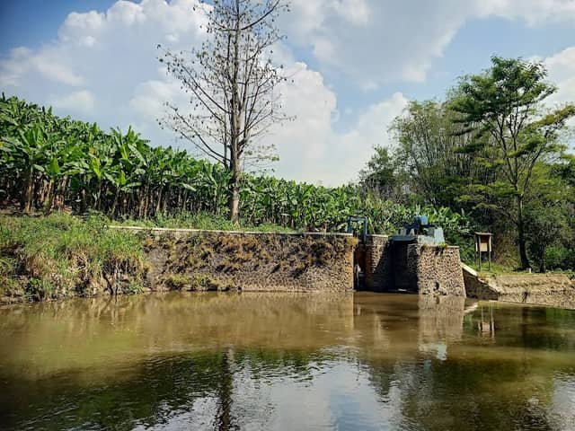 Spot DAM - Image 2