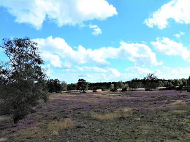 Het Keizand (Loenermark) - Image 1