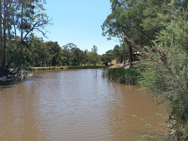 Lilliput Lake - Image 2
