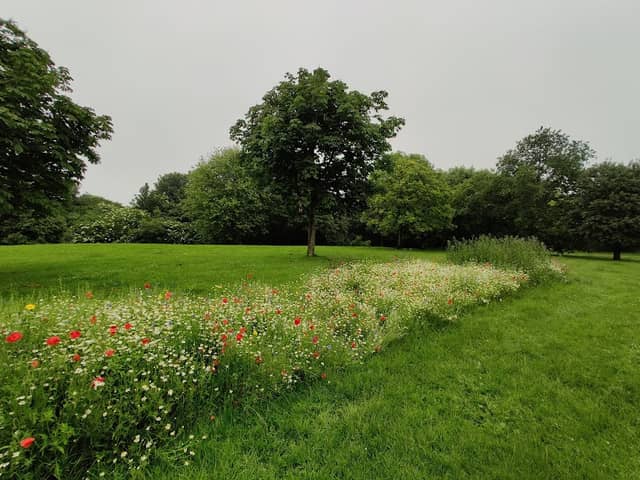Cleadon Park - Image 1