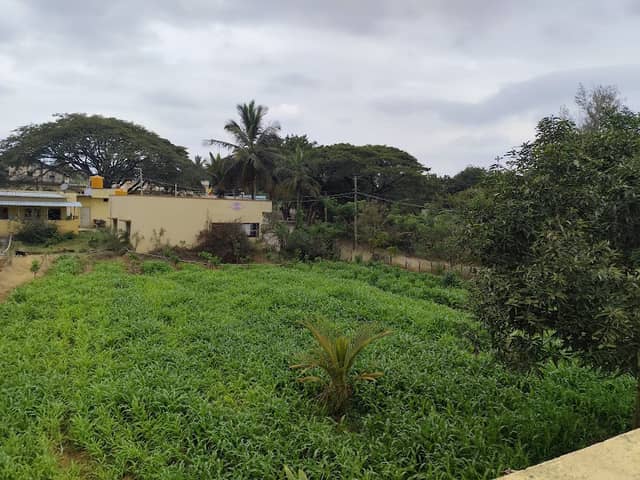 Narayan Farms - Image 1