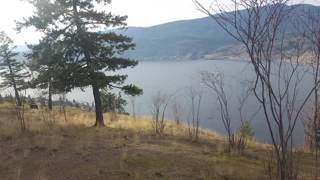 South Kelowna Centennial Park - Image 2