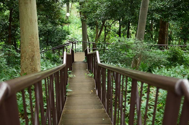 Kaminoge Nature Park - Image 1