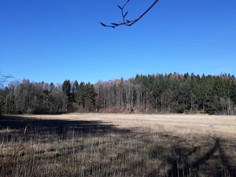 Gemsenweiher Landscape Protection Area - Image 1