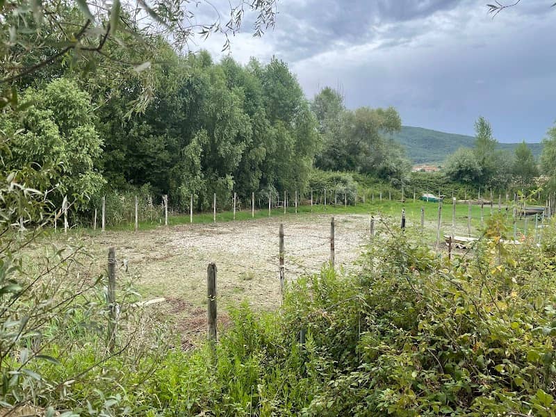Oasi di relax - Image 2