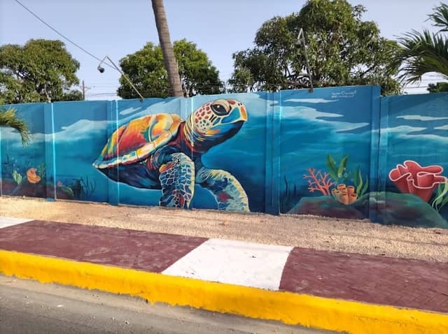 Paseo de Los Colores Caleta. - Image 1