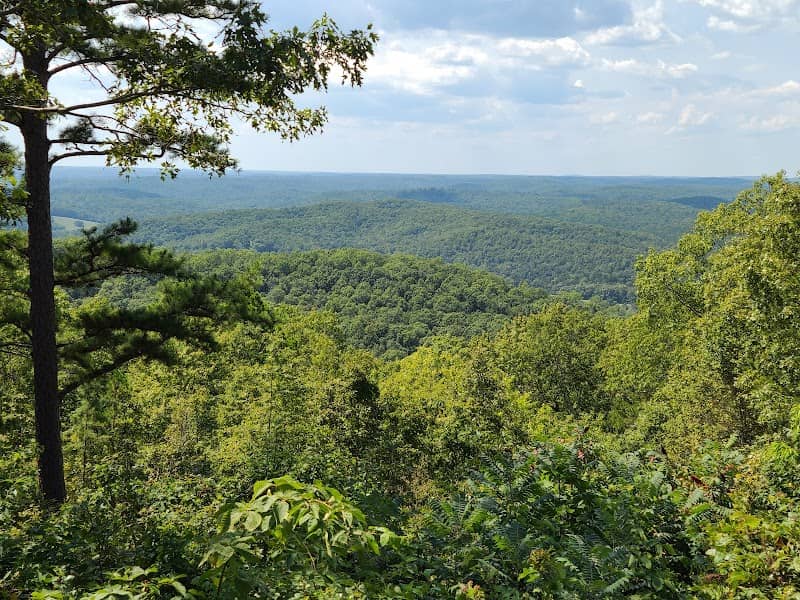 Mark Twain National Forest - Image 1