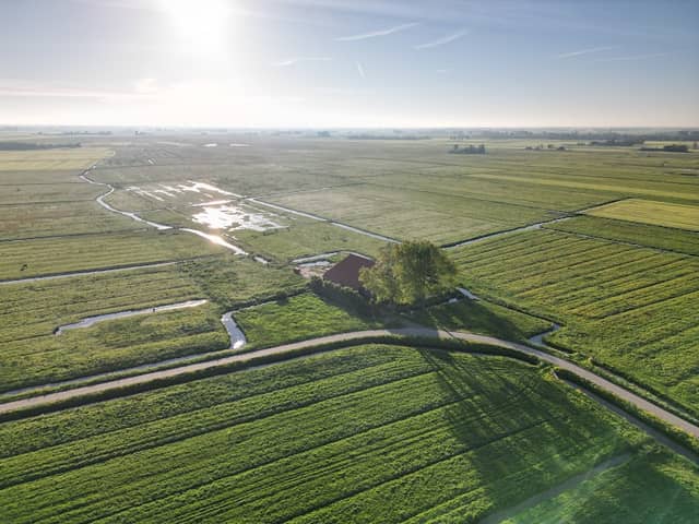 Pean-buiten It Kathûs - Image 2